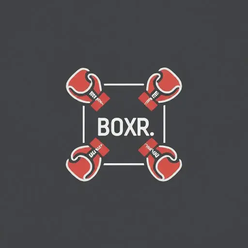 BOXR.app
